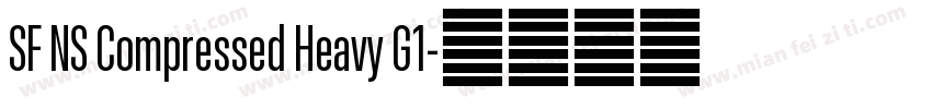 SF NS Compressed Heavy G1字体转换